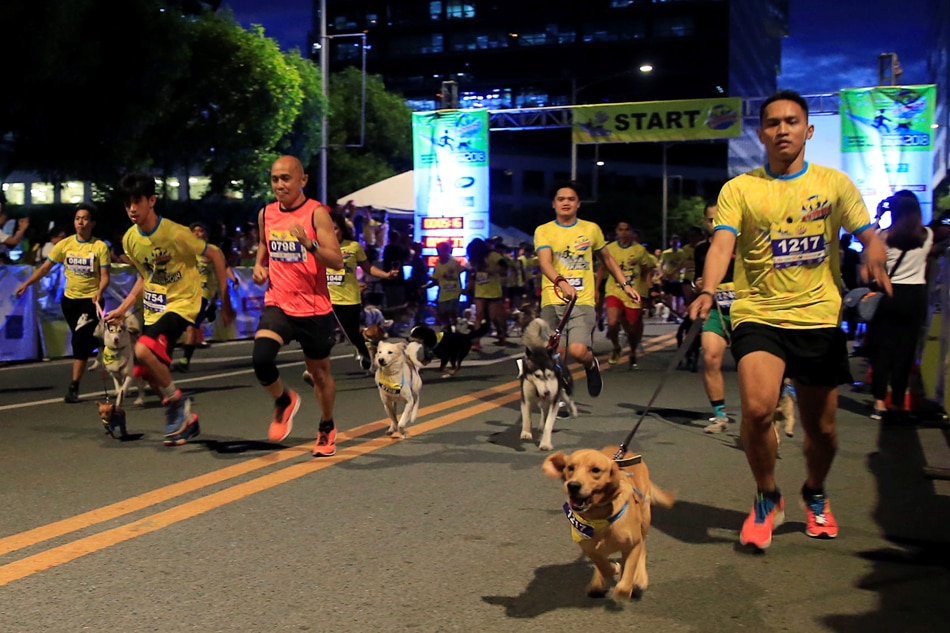 Dogs Run For A Cause Abs Cbn News