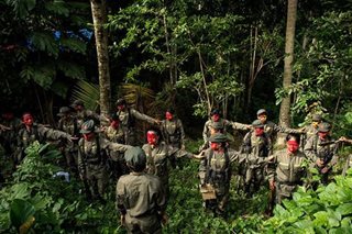 'Not pork': Año says P16.4 billion anti-insurgency budget itemized