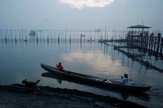 'Foul stench' in Muntinlupa linked to Laguna Lake algae - advisory