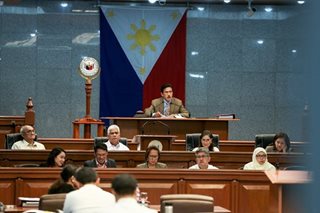 Senado balik-sesyon; committee chairmanships pinag-usapan