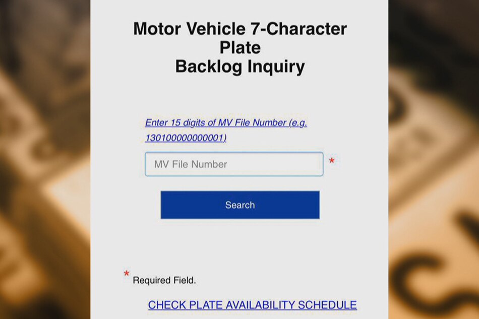 licence plate availability check