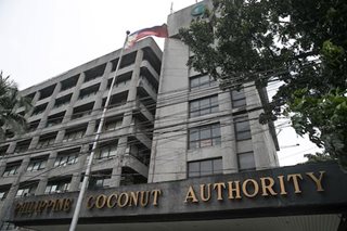 Budget ng PH Coconut Authority sa 2022, hindi pa OK sa Senado