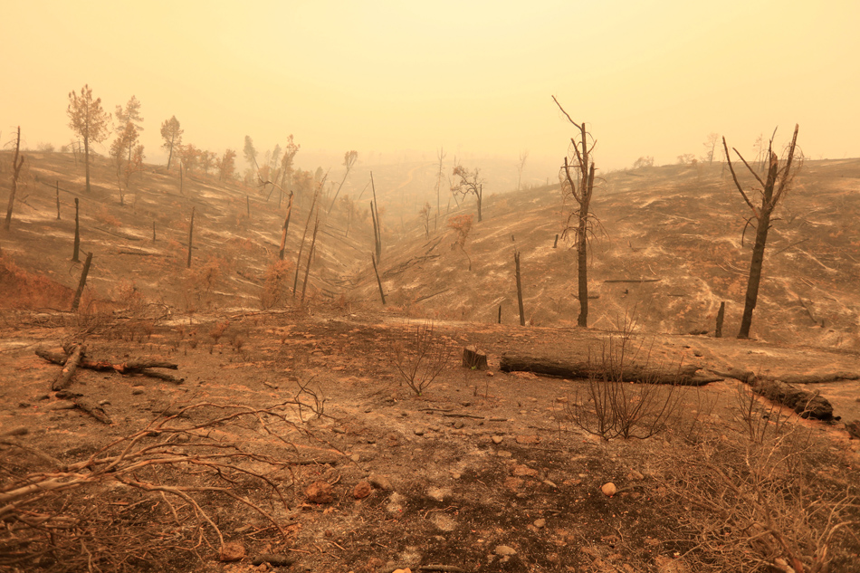 'Erratic' winds, dry conditions fuel deadly California fires