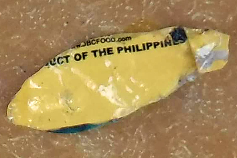 Plastic, food wrappers found inside dead whale shark in Davao 3