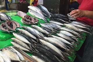 'Import pa more': Lacson blasts DA plan to import galunggong