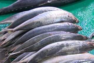 Pacquiao blasts DA's excuse on fish shortage