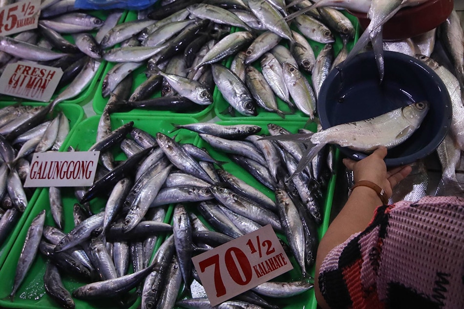 Galunggong, former staple fish, is now inflation pace-setter 2