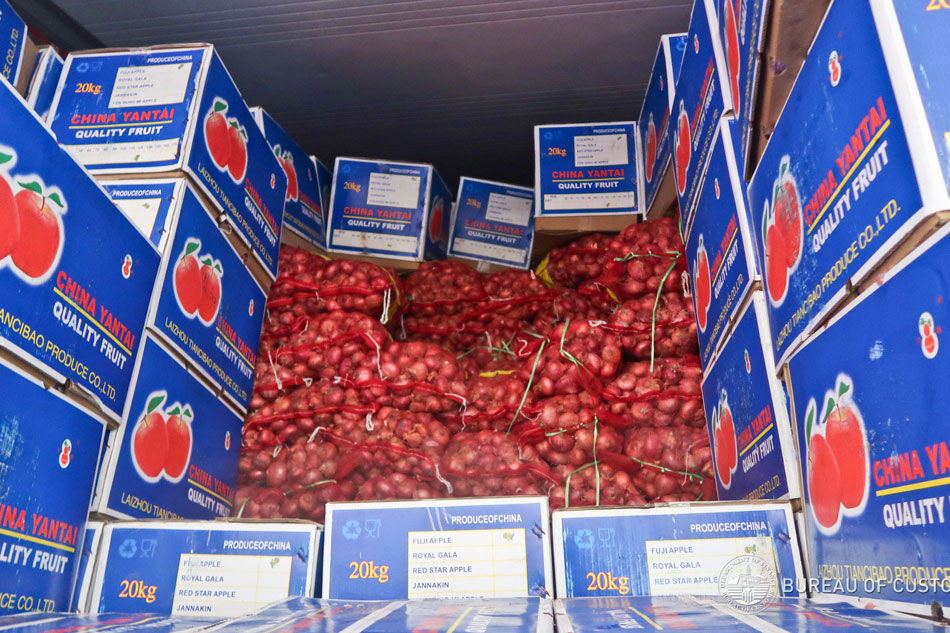 Customs seizes P12-million in smuggled onions at Manila port 1
