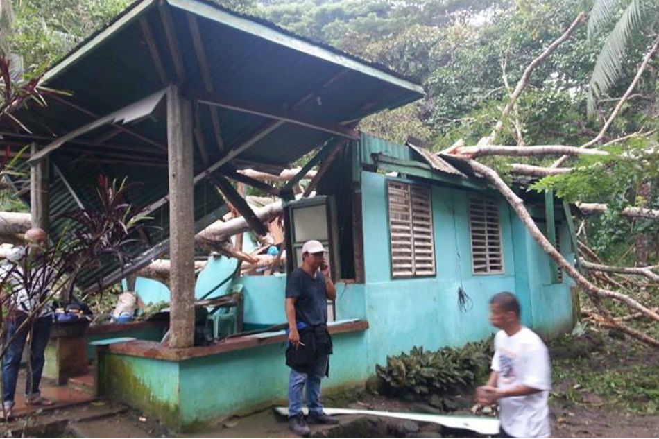 Bahay Nabagsakan Ng Puno 5 Sugatan Abs Cbn News 