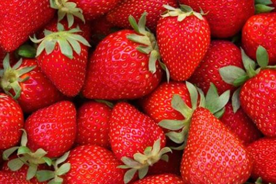 australia offers reward amid mystery strawberry needle scare abs