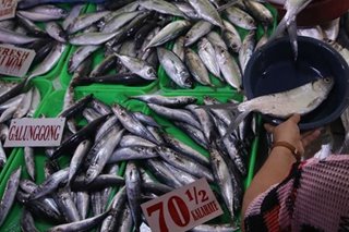 Umano'y sobrang fish importation nais paimbestigahan