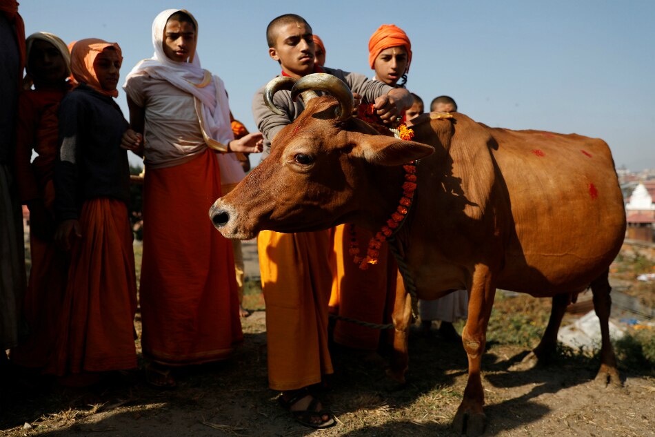 2 Killed In Violence Over Cow Slaughter In North India | ABS-CBN News