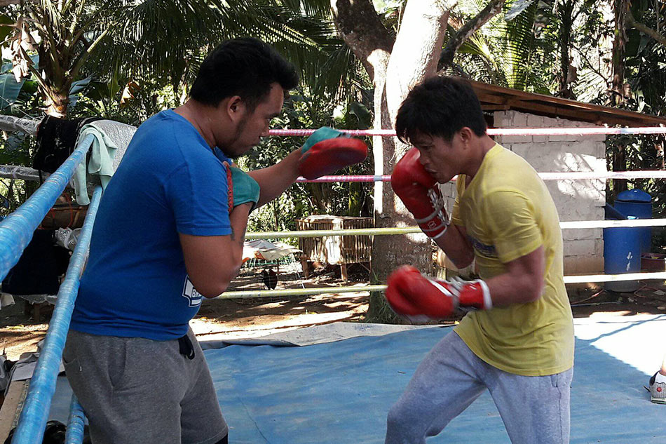 Boxing: Jerwin Ancajas says fight videos of next opponent are hard to find