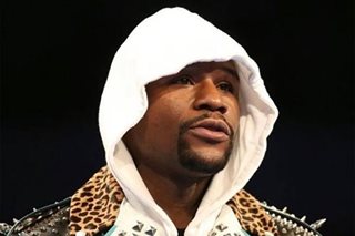 Mayweather ignites Jake Paul boxing feud, wants to face brother Logan and 50 Cent
