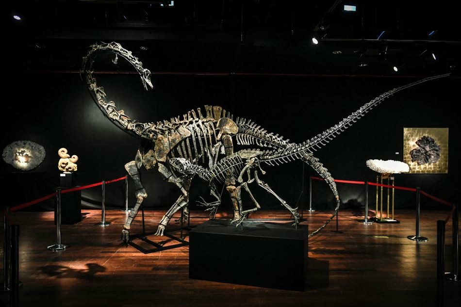 Dinosaurs got cancer too, say scientists 1