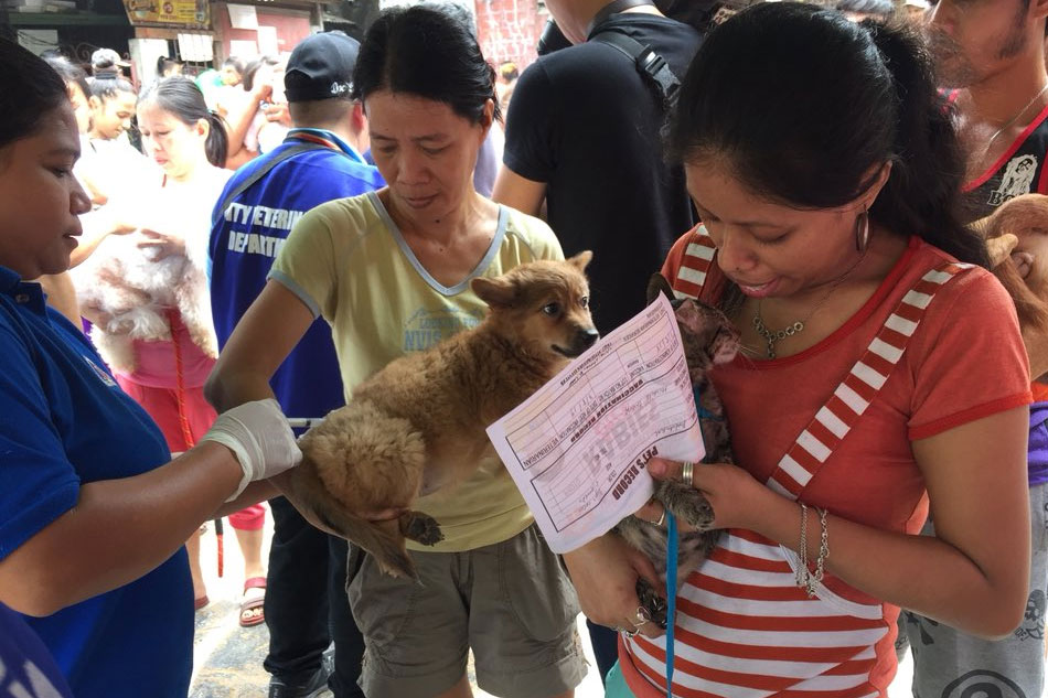 'Ugali ng alagang hayop, apektado ng mainit na panahon' | ABS-CBN News