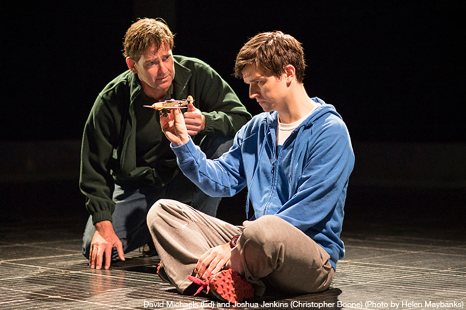 Theater review: 'Curious Incident of the Dog in the Night-time' is a ...