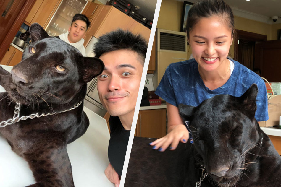 WATCH: Xian spends birthday with Kim Chiu, gets her to pet a black panther