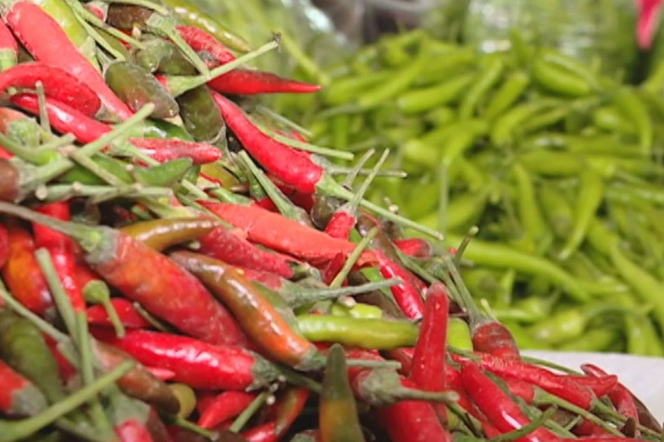 Sili Sili