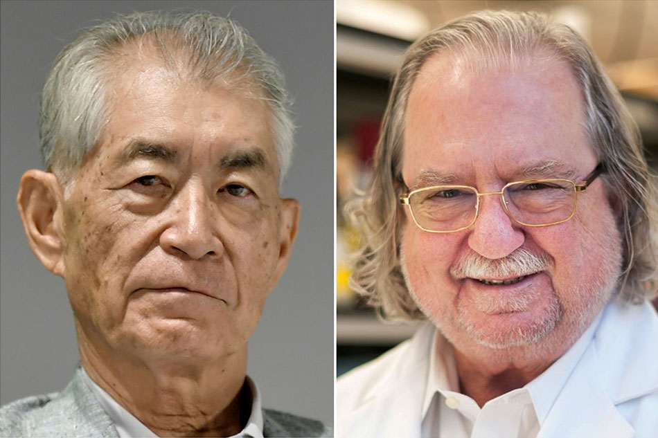 Scientists behind cancer immunotherapies win Nobel medicine prize 1