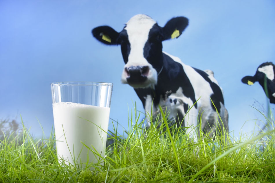 How a milk brand makes organic living affordable 1