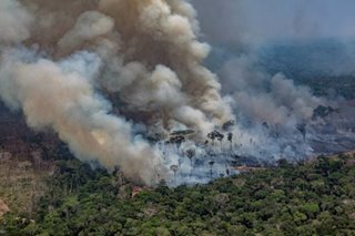 A call to save the Amazon