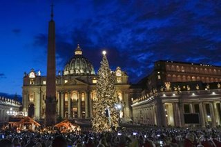 Vatican Christmas tree lights up