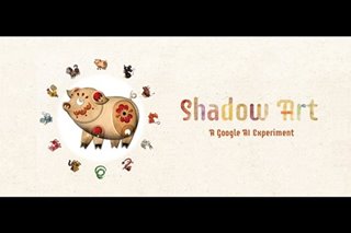 Google welcomes Year of the Pig with shadow art AI