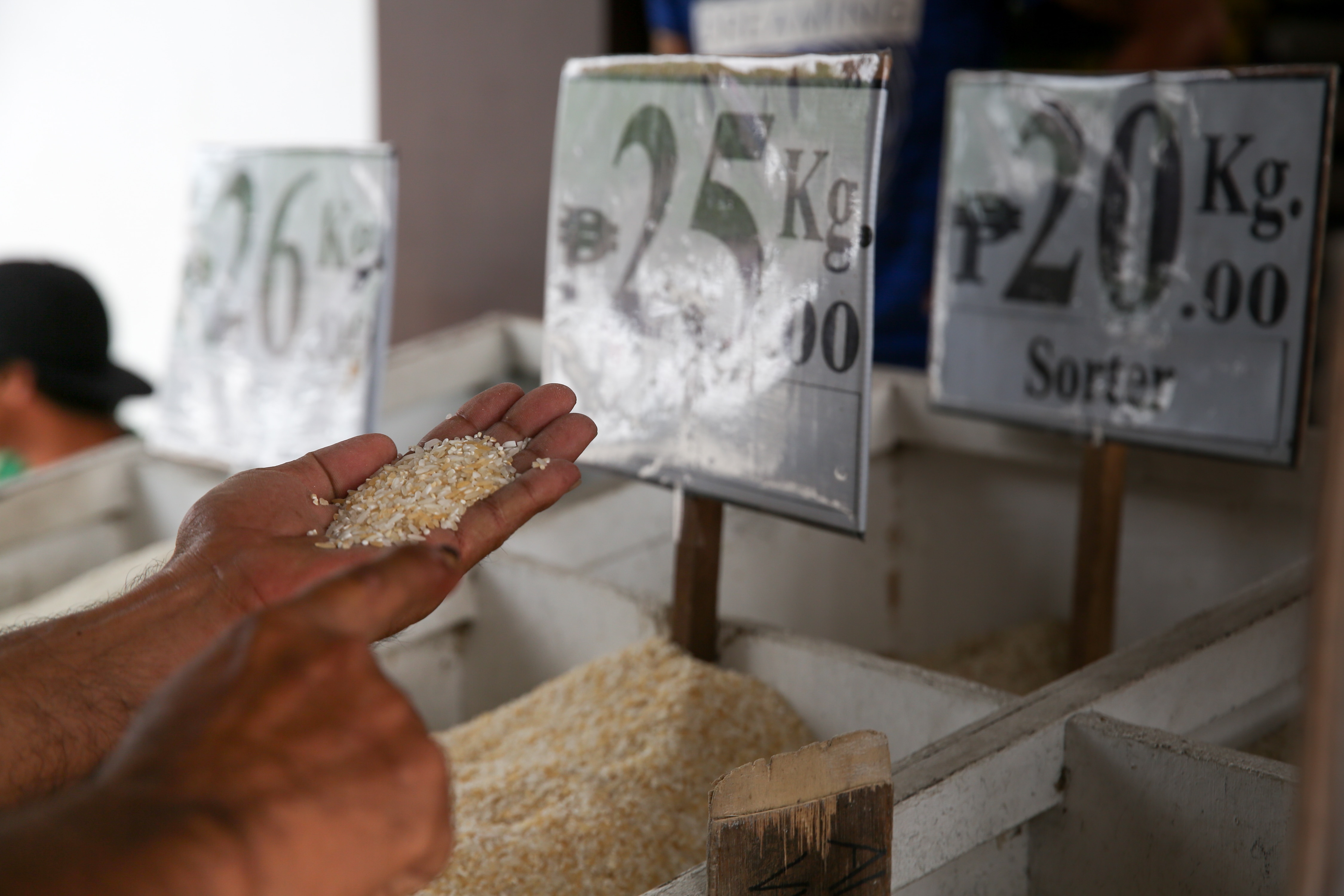 In the Philippines&#39; rice granary, farmers endure falling grain prices 7