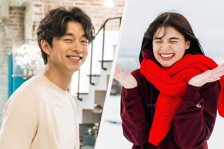 LOOK: Anne Curtis finally scores dream photo with Gong Yoo 1