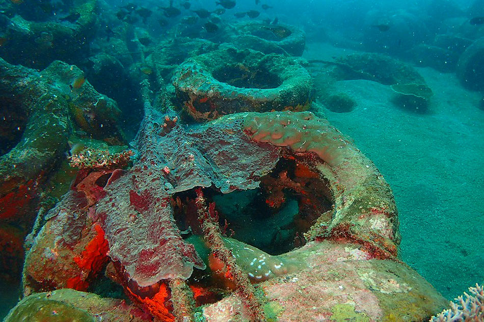 Batangas towns strive to balance tourism with coral reefs protection 4