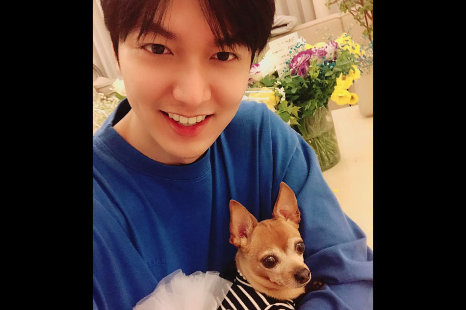 Korean star Lee Min Ho returns to social media after finishing military