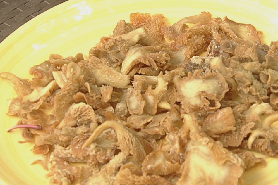 RECIPE: Oyster Mushroom Chicharon | ABS-CBN News