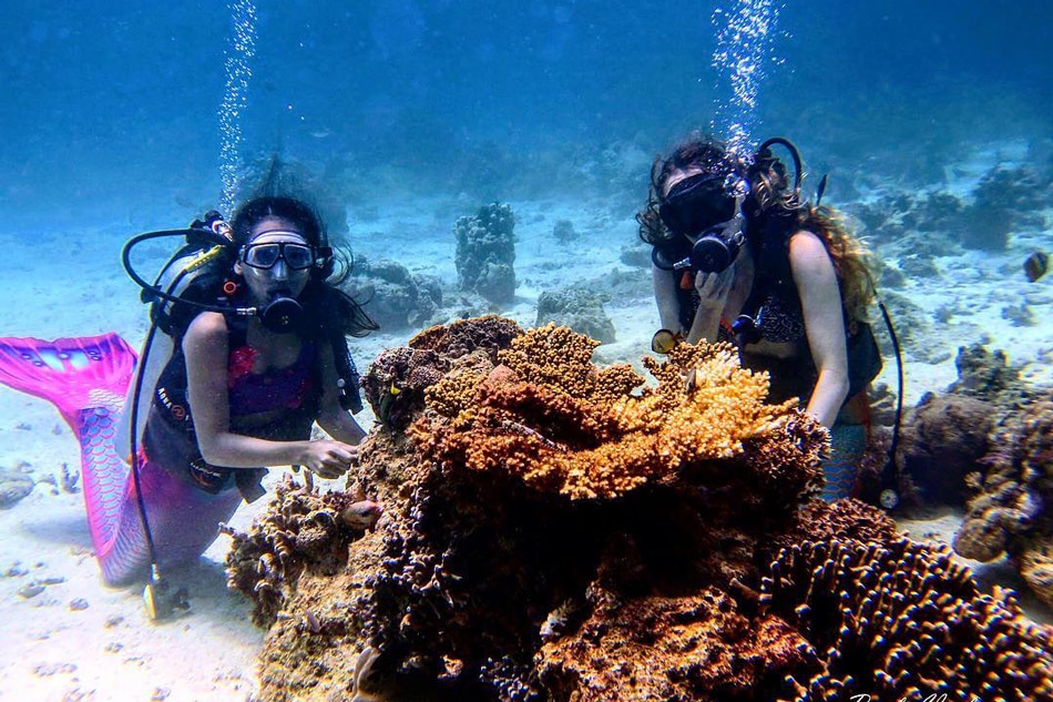 Mermaid lessons: A fairytale life underwater 2