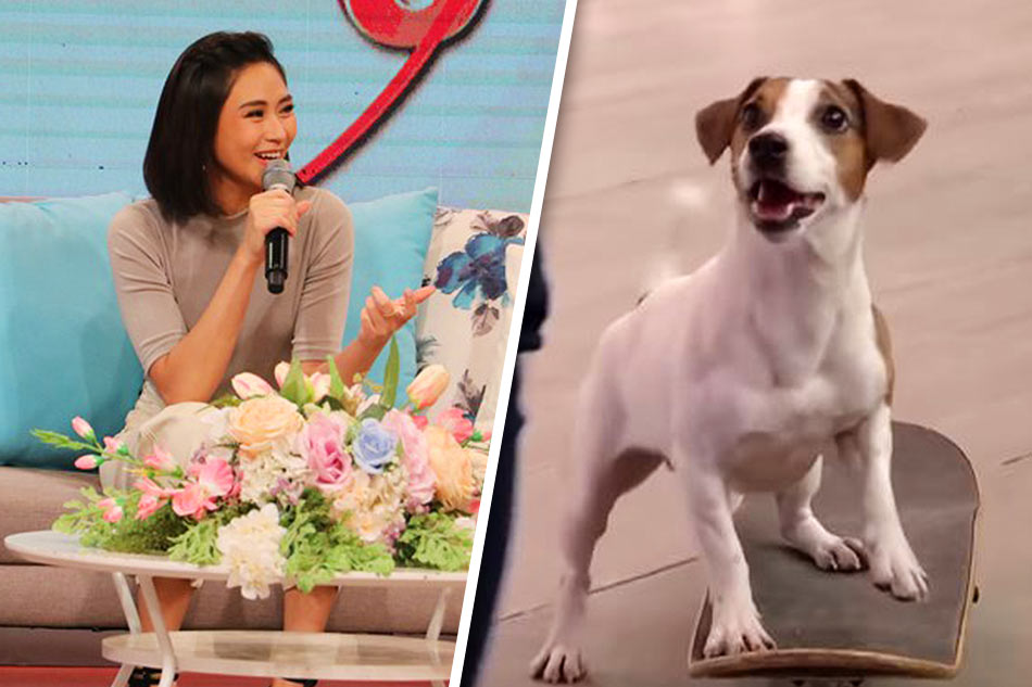 Watch Milo Sarah G S Furry Co Star In New Movie Shows Off Tricks Abs Cbn News