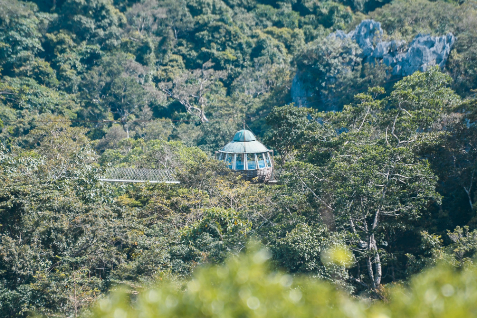 Masungi Georeserve: Where former illegal loggers turn over new leaf in