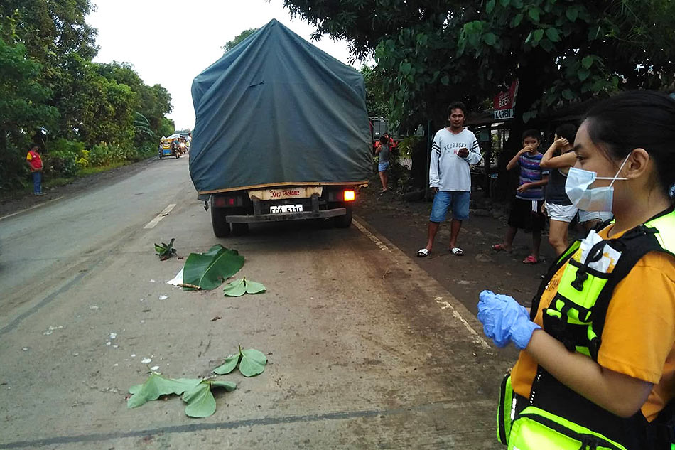 Bata, patay matapos mabundol ng trak sa Negros Occidental 1