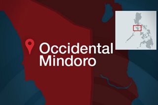 Occidental Mindoro town spared by 5.6-magnitude quake