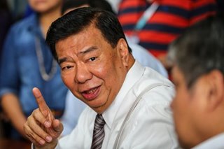 Drilon: Senate minority satisfied with committee assignments