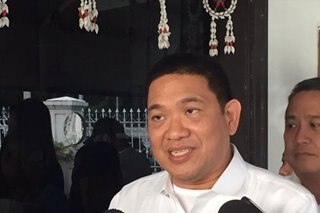 Palace denies hand in House leadership change