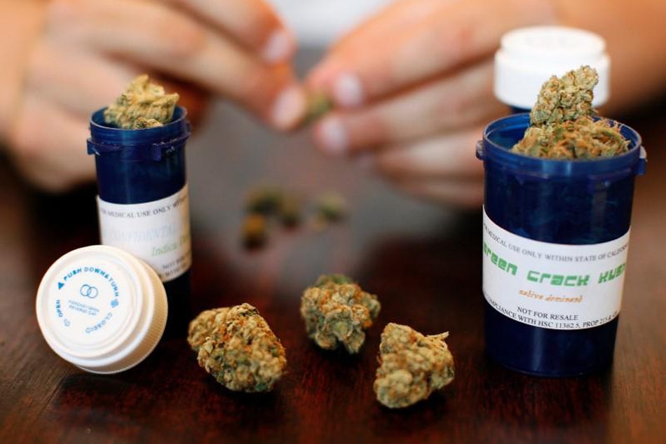 Medical cannabis &#39;less toxic&#39; than ordinary cancer, seizure drugs: experts 1