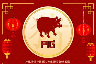 ALAMIN: Mga dapat tandaan at gawin para suwertihin ngayong Year of the Pig