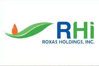 Asset sale slashed debt in half, ‘derisked’ business: Roxas Holdings