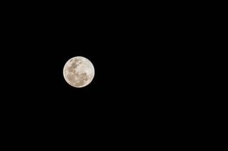 'This is a big deal': Earth captures new 'mini moon'