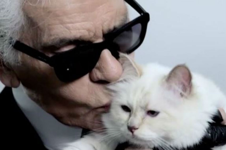 Could Lagerfeld's cat Choupette inherit his millions? | ABS-CBN News