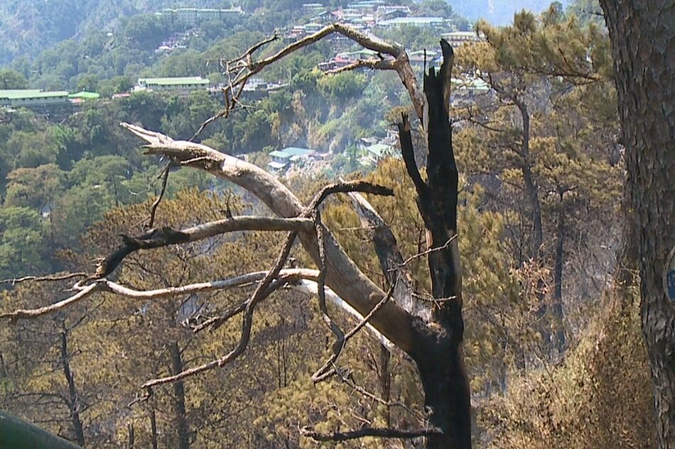 Forest Fire Sa Itogon, Benguet, Naapula Na | ABS-CBN News