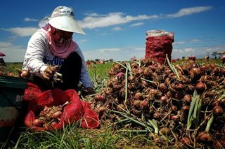 Philippines authorizes red onion imports from China to tame prices