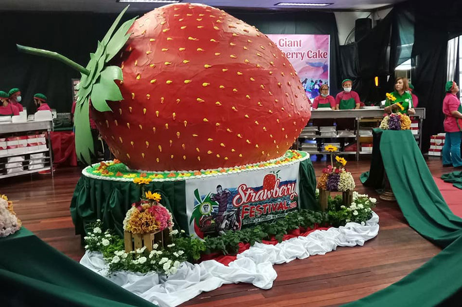 TINGNAN Dambuhalang strawberry cake ibinida sa La Trinidad ABSCBN News