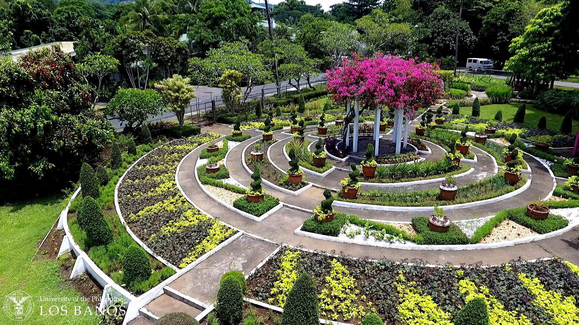 Edible Garden, Philippine Plants For Landscaping