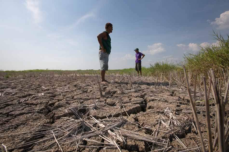 Deforestation And Drought Graph